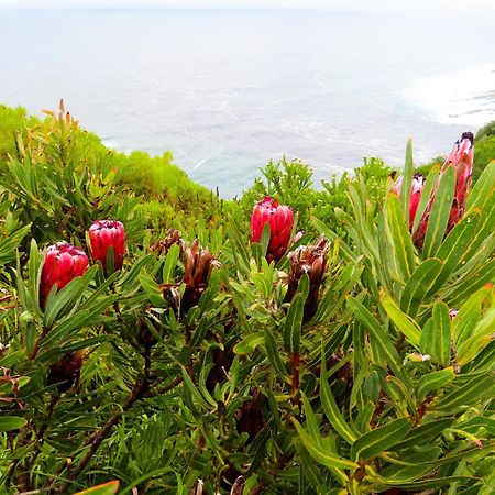 Misty Mountain Reserve Stormsrivier Exterior foto