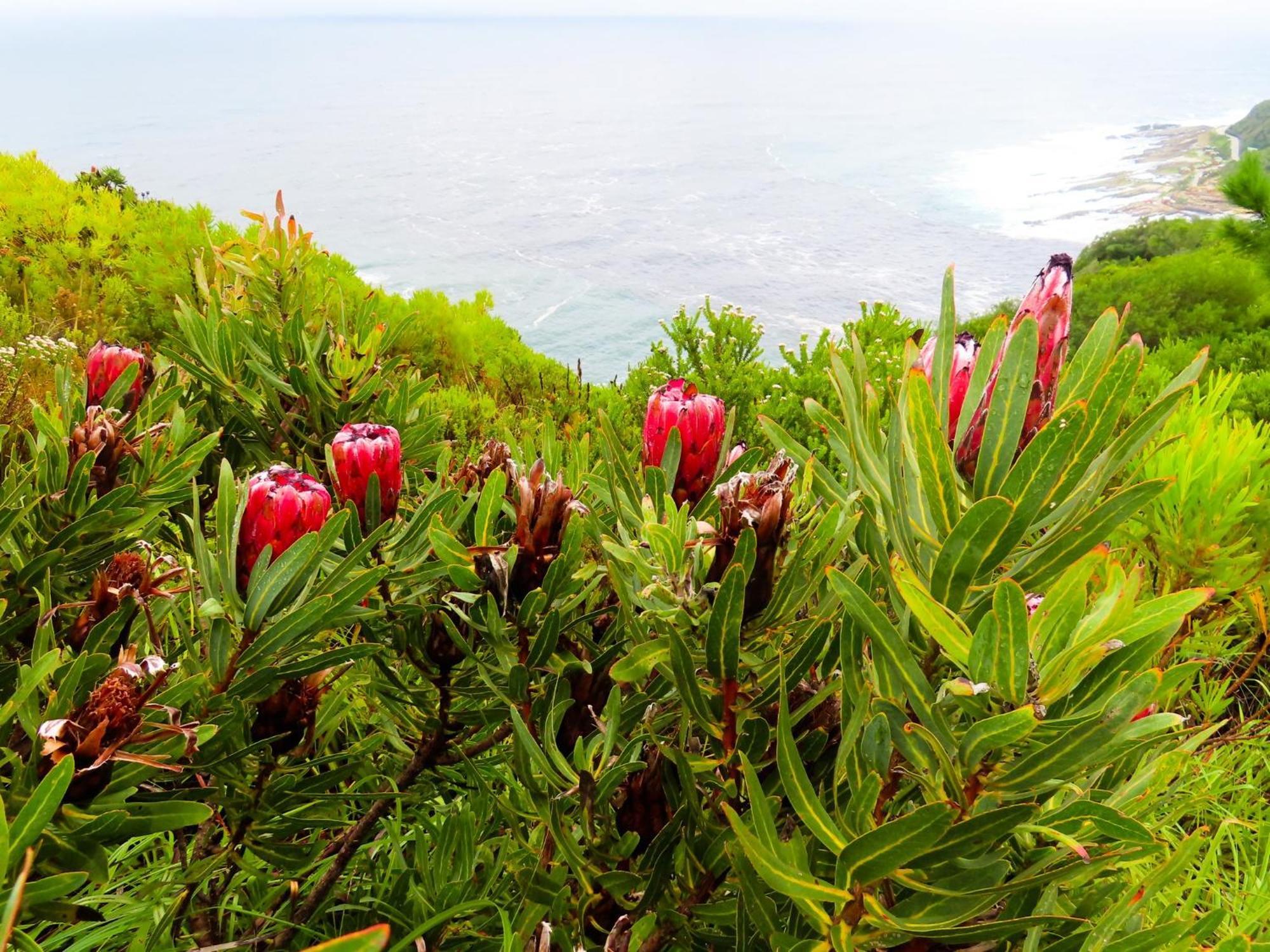 Misty Mountain Reserve Stormsrivier Exterior foto